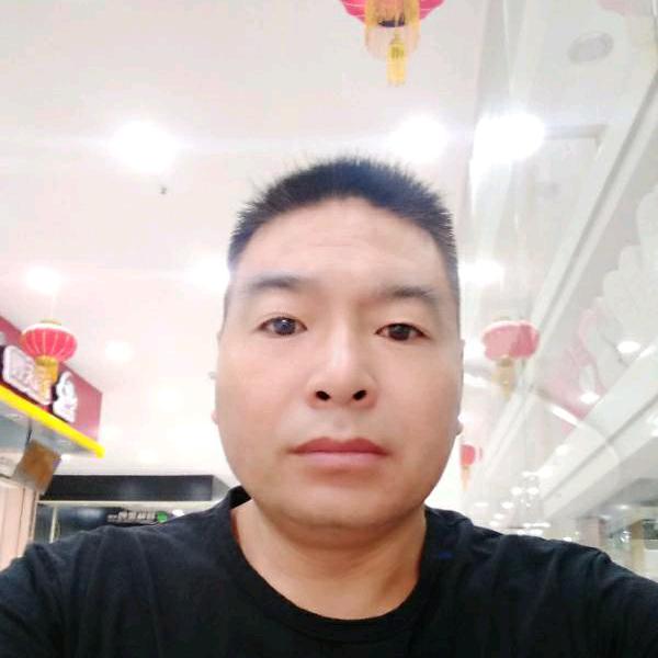 草原雄鹰