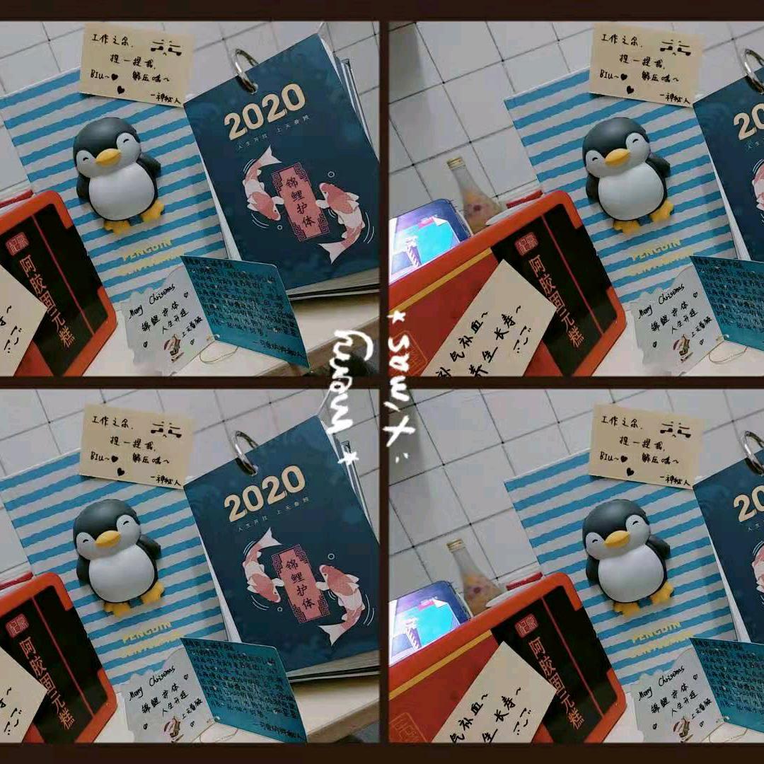翩若有惊鸿