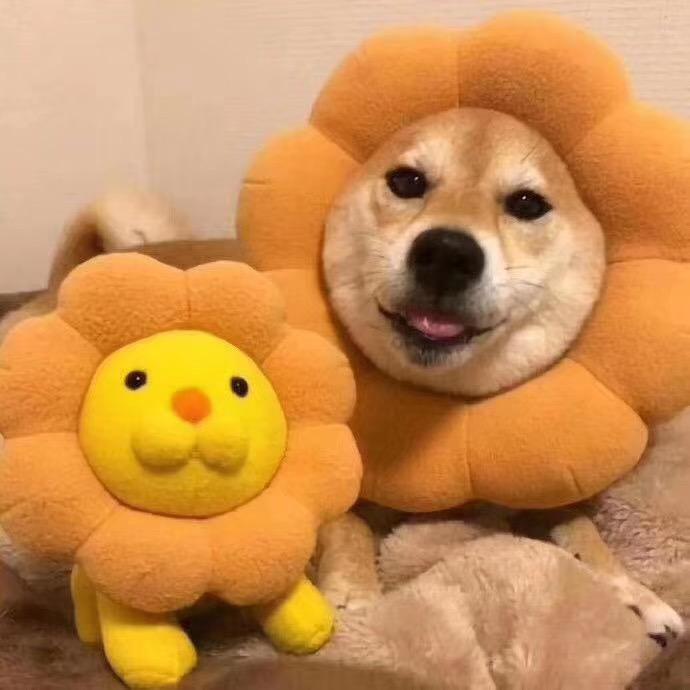 徐聪明_