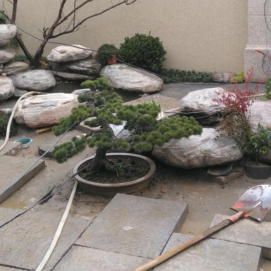 已重置
