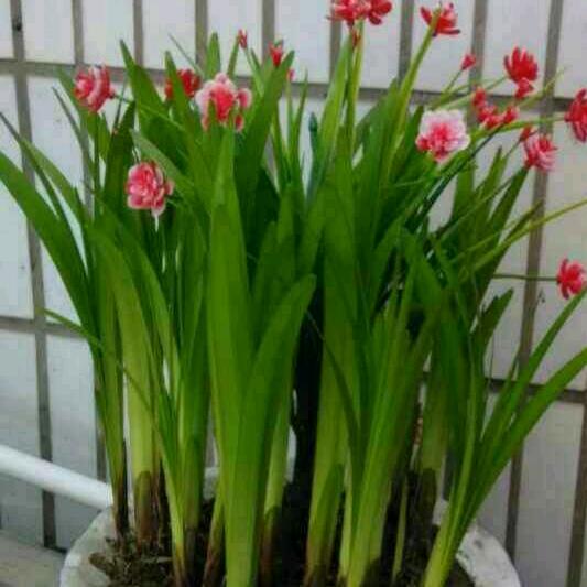 一切随缘45014ღ᭄💞一切꧔ꦿ᭄ 随