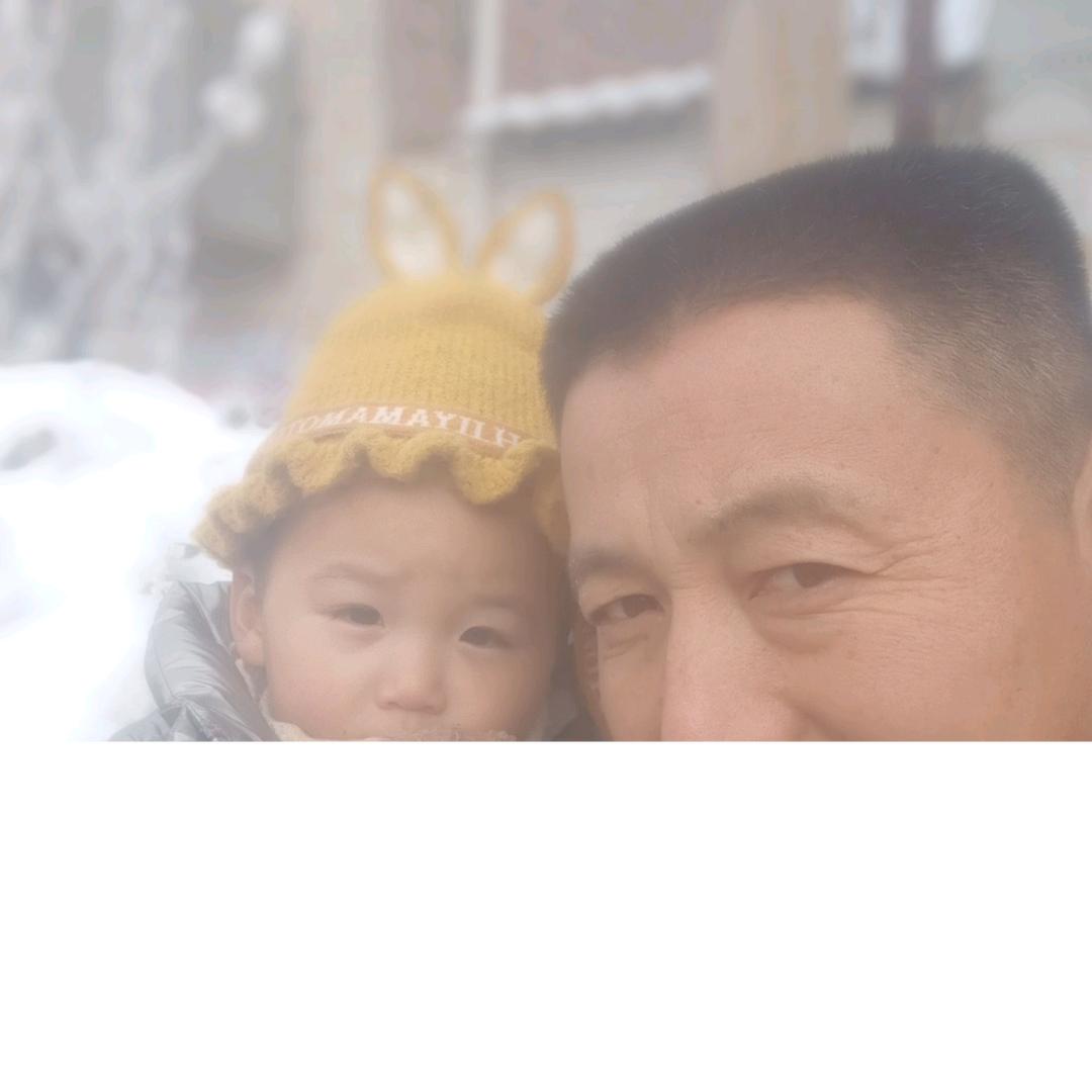 追求人生金蝉哥