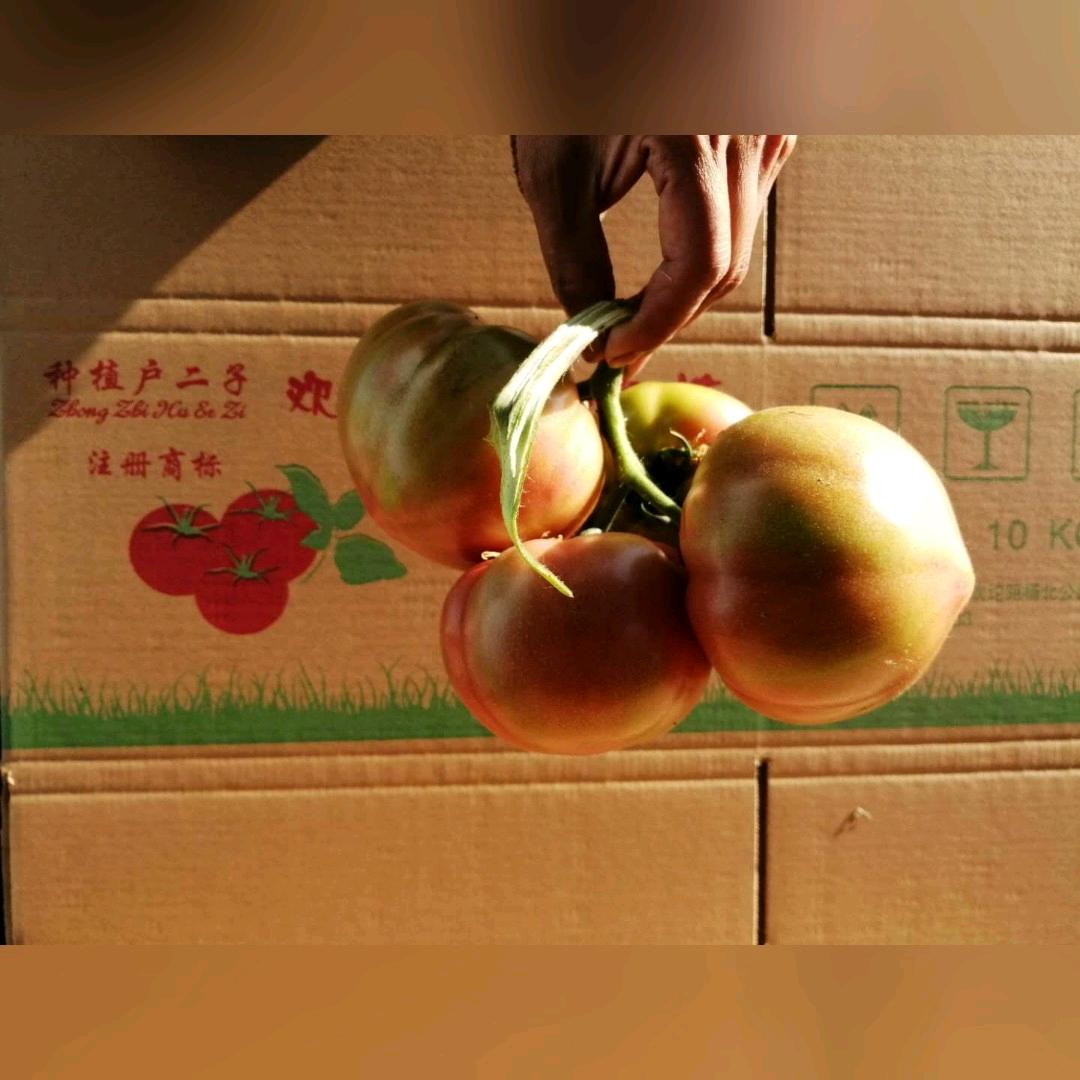 欢坨一线种植户二子