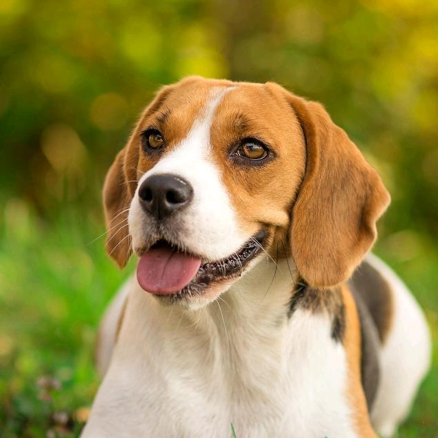 幸福一生๛ก(ｰ̀ωｰ́ก)