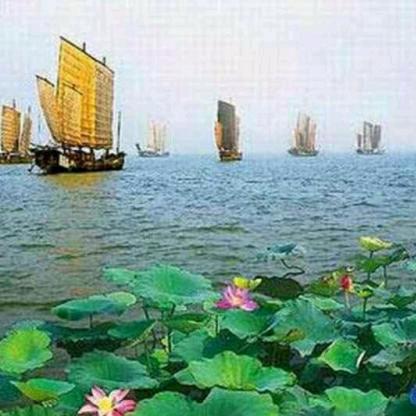 李金成‘