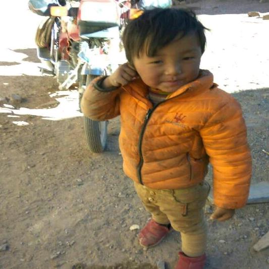 བོད།