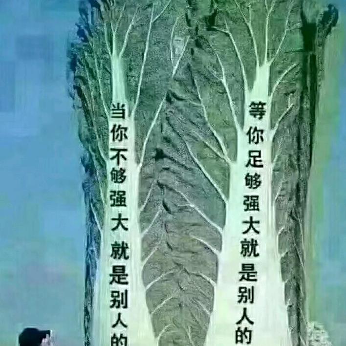 新年快乐