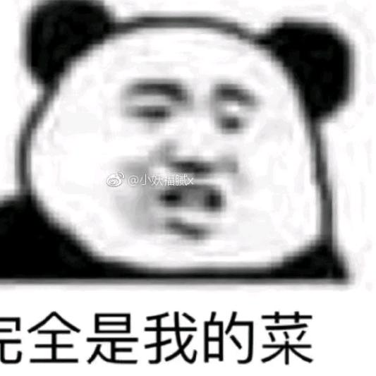 熊猫🐼头（被期末周折磨版）