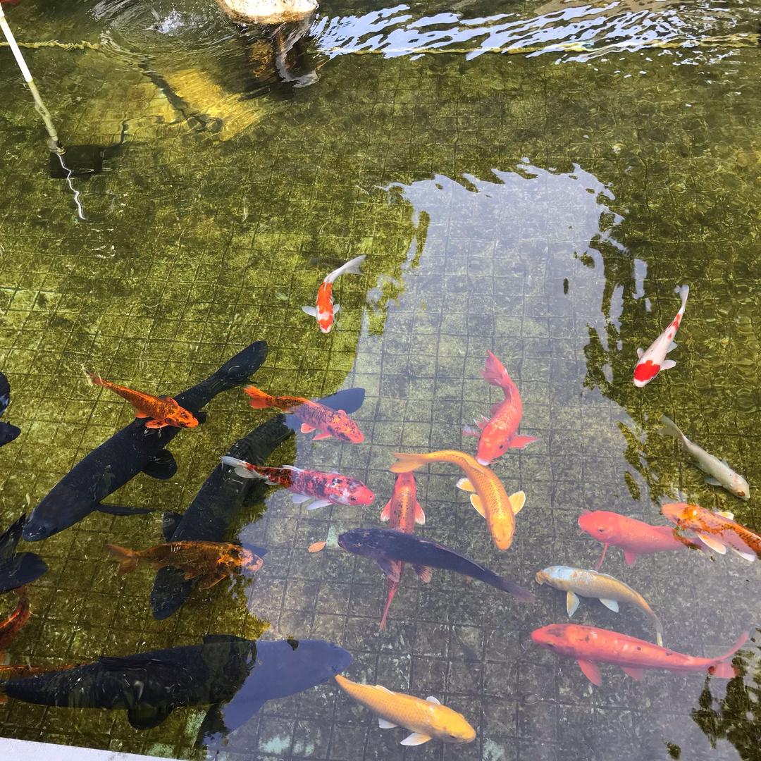 淼发车品企业店