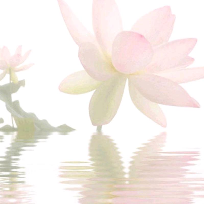 英子《橱窗好物》