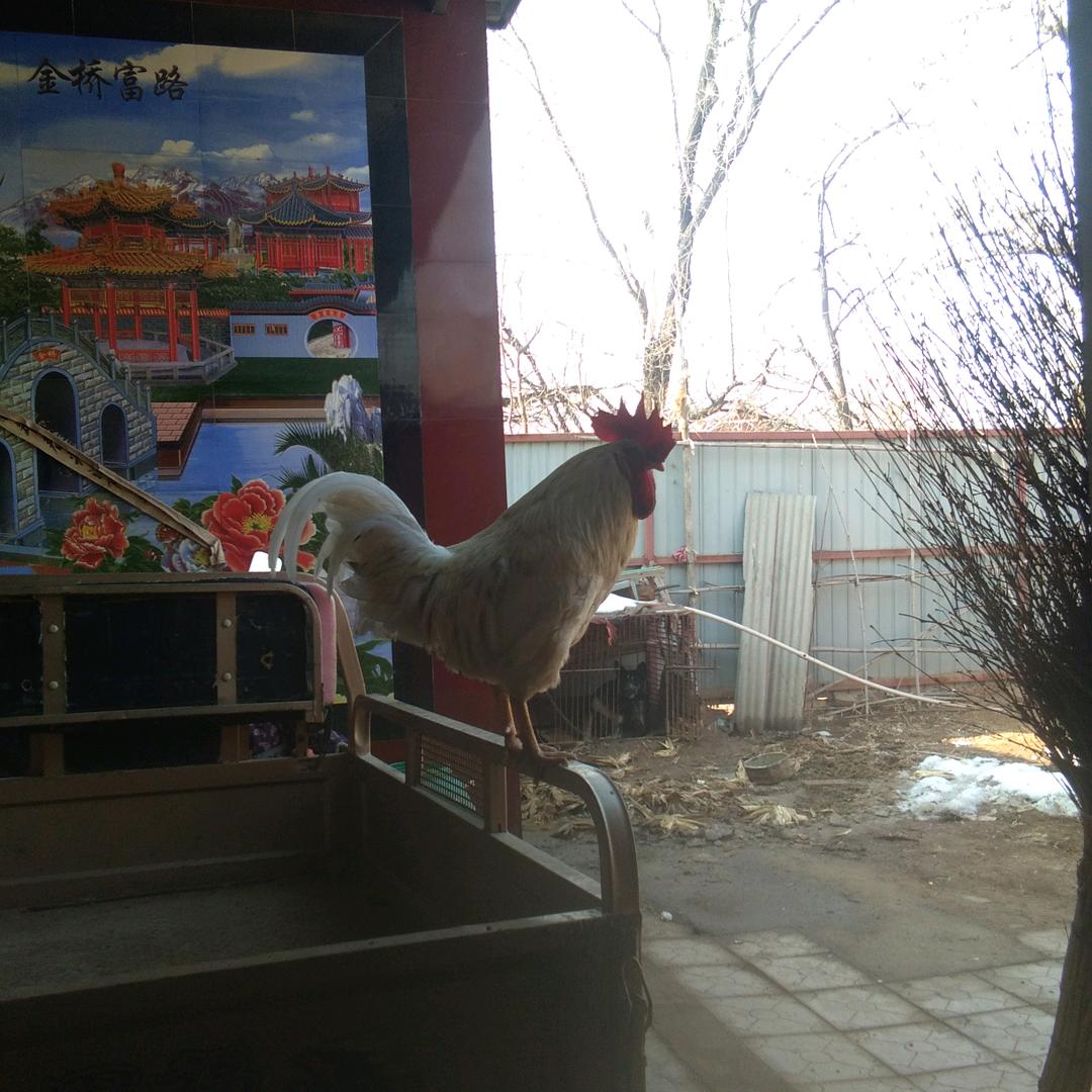 长江水