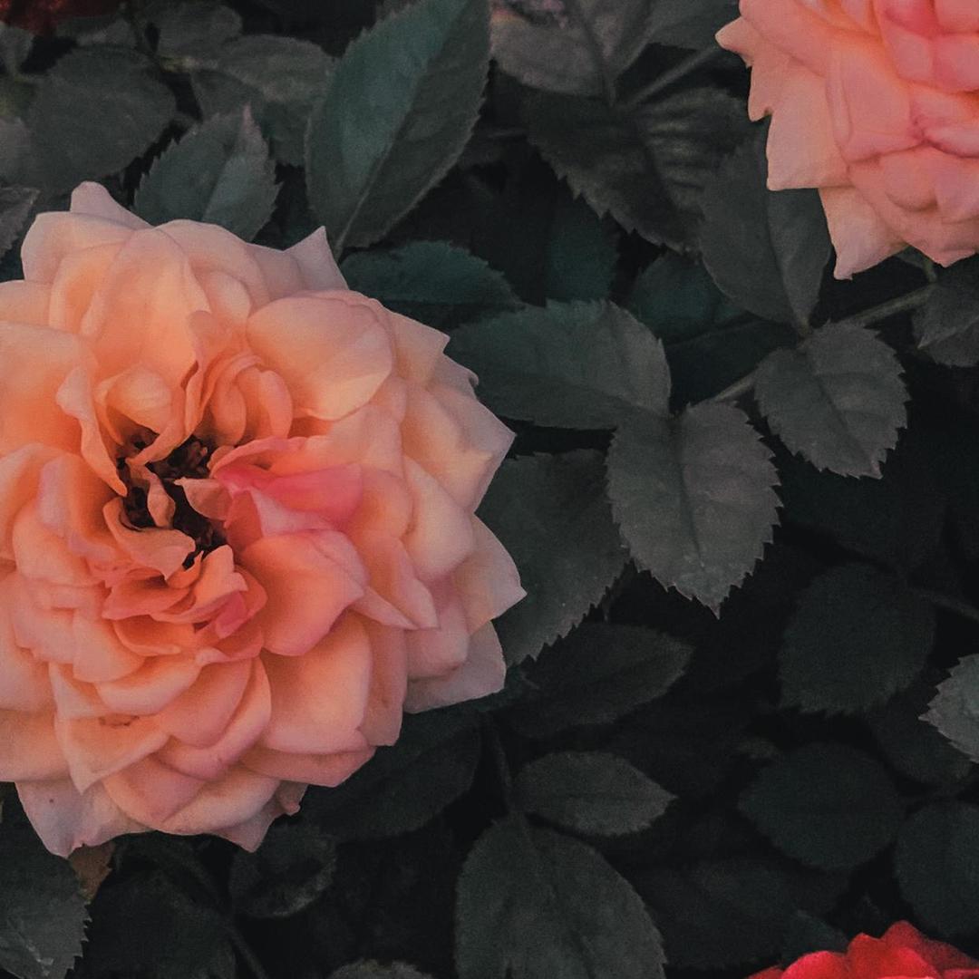 哈哈哈哈哈哈哈