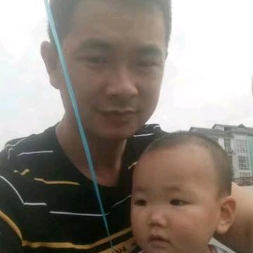 杨氏一家親