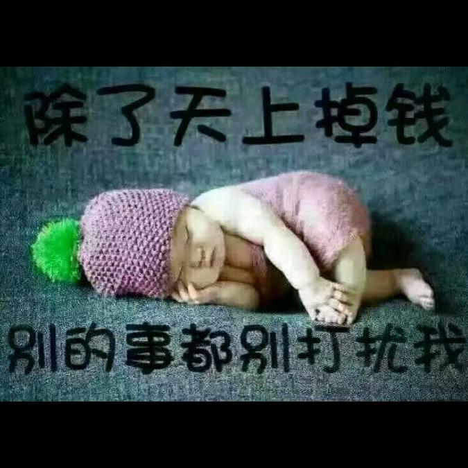 单只蝴蝶