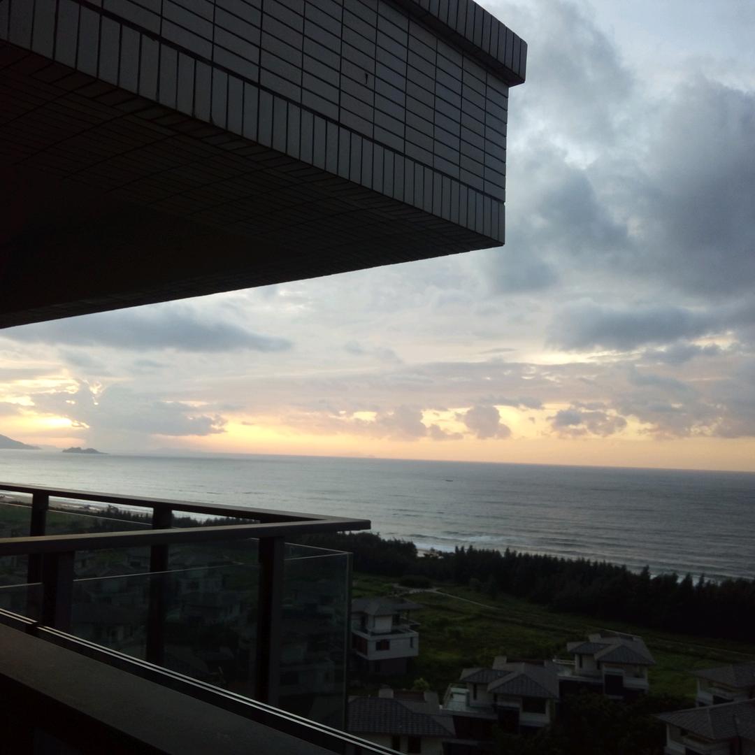 黑芝麻不是白芝麻