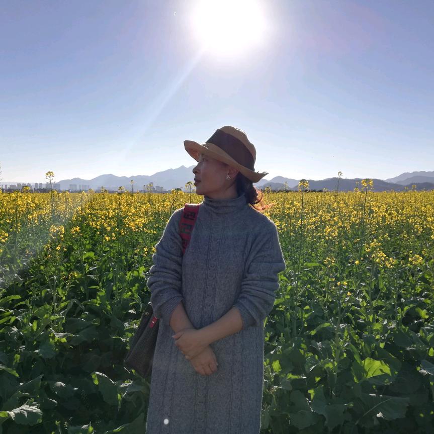 顶效（海尔家电）