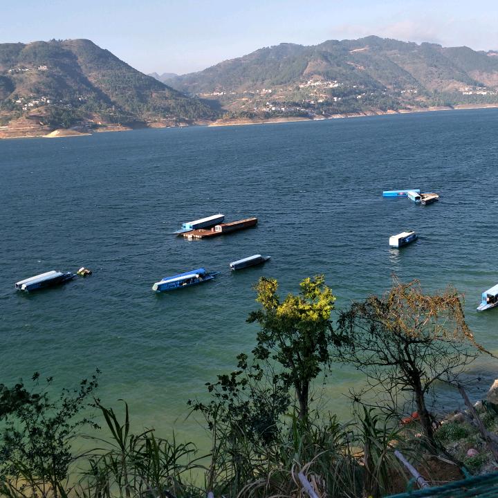 明天更好