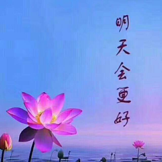 丁疙蛋