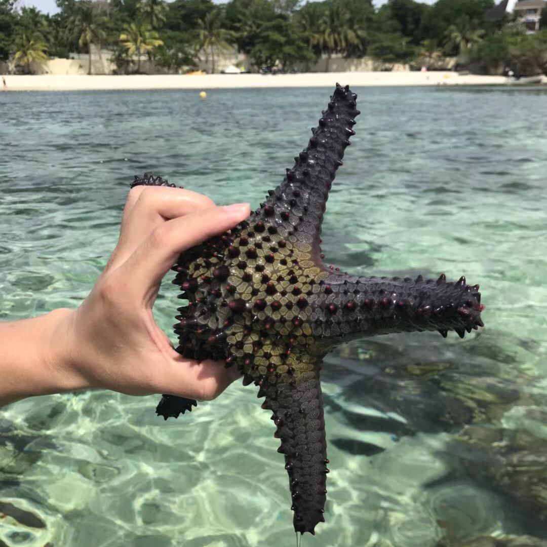 🌈世间万物皆可爱