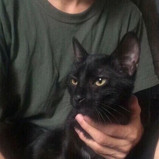 zero（三角洲行动）