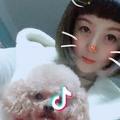 颖儿🐶
