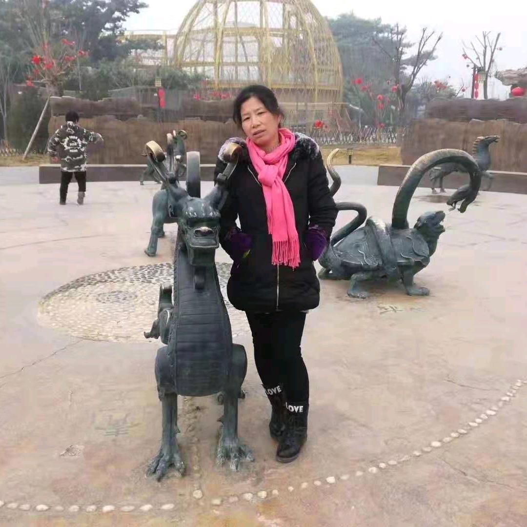 琴