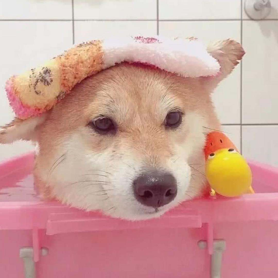 倾城