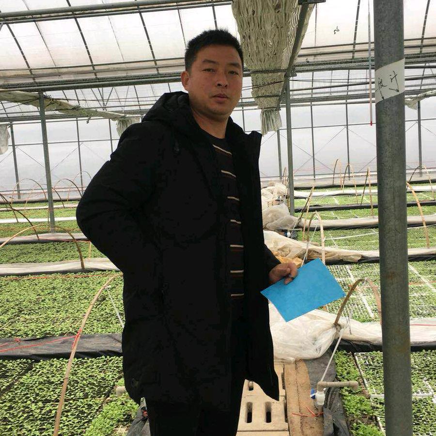 @曹传龙