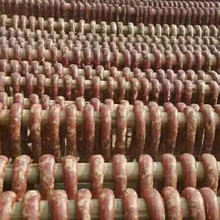 滨海八滩陈德梅香肠捆蹄