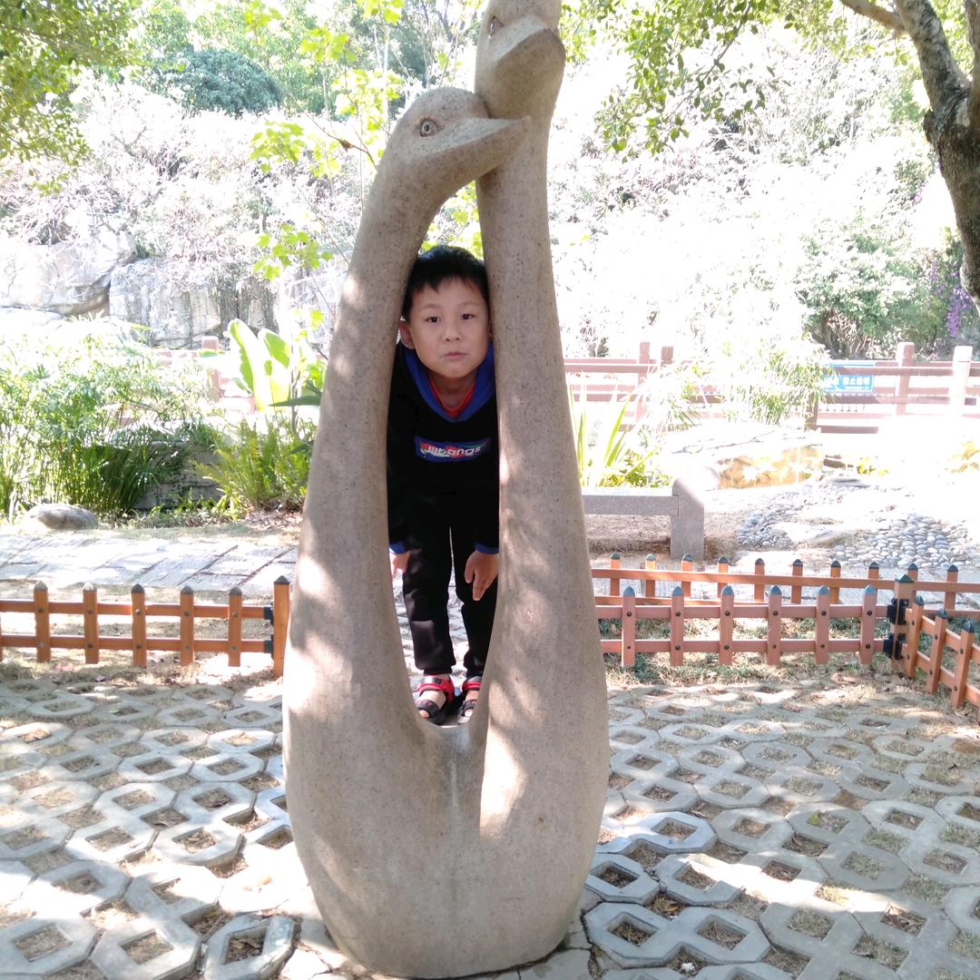 专业承接砌砖拉毛