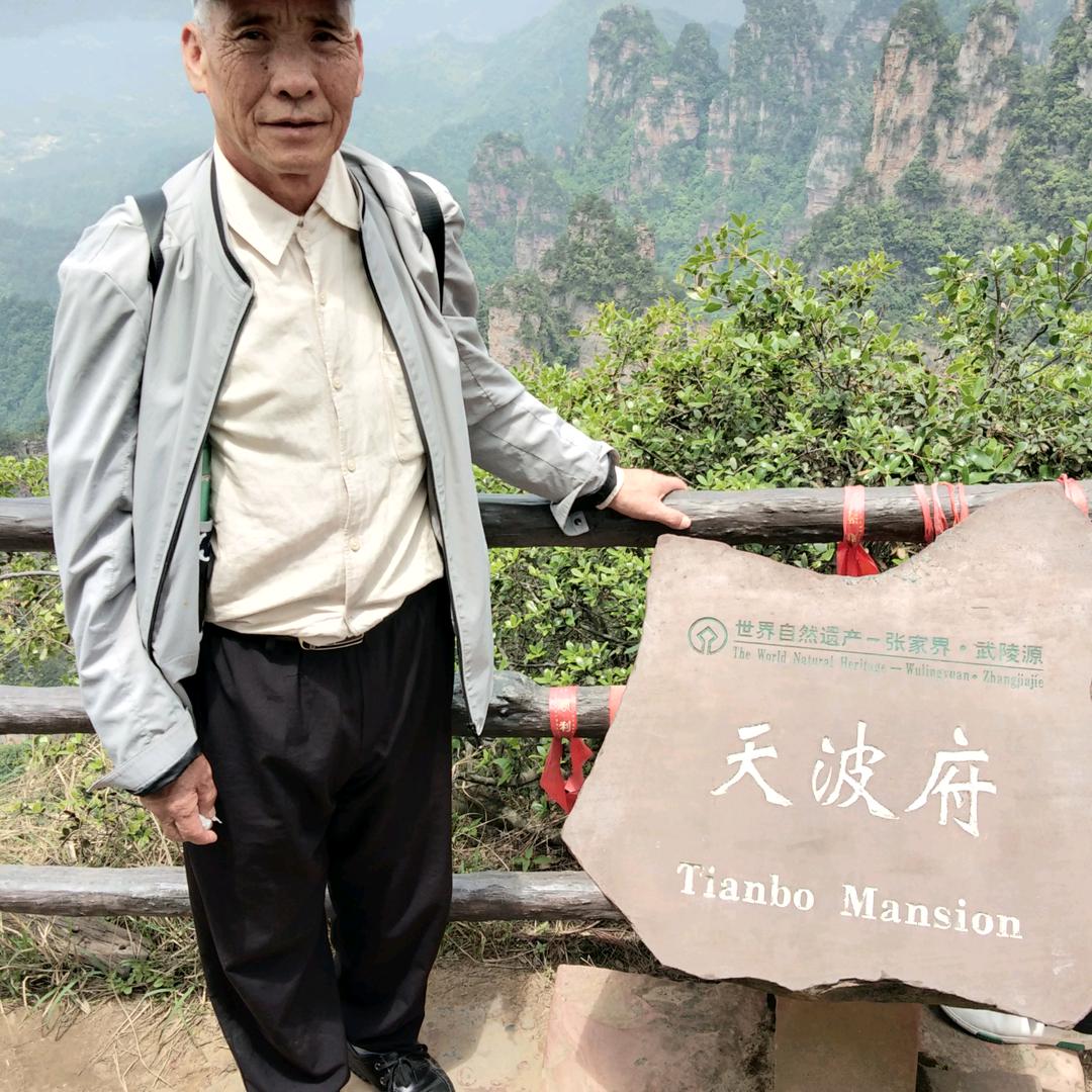魏家坡