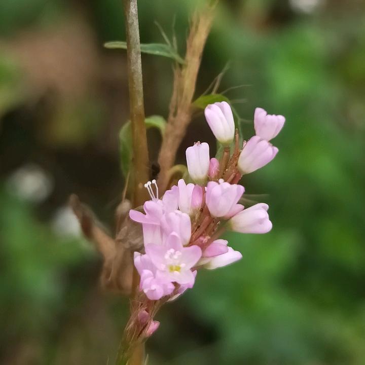 雨过天晴