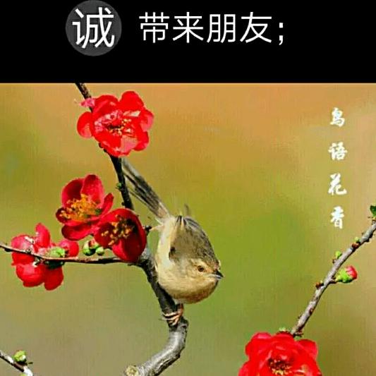 ^O^平淡是真^O^