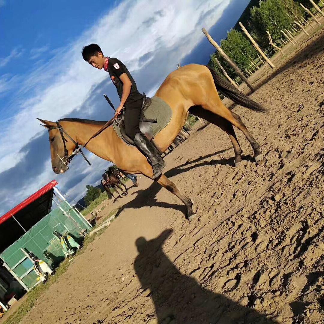 河北廊坊星骏马业🏇刘坤