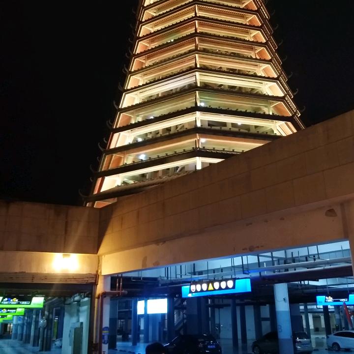 杨歌