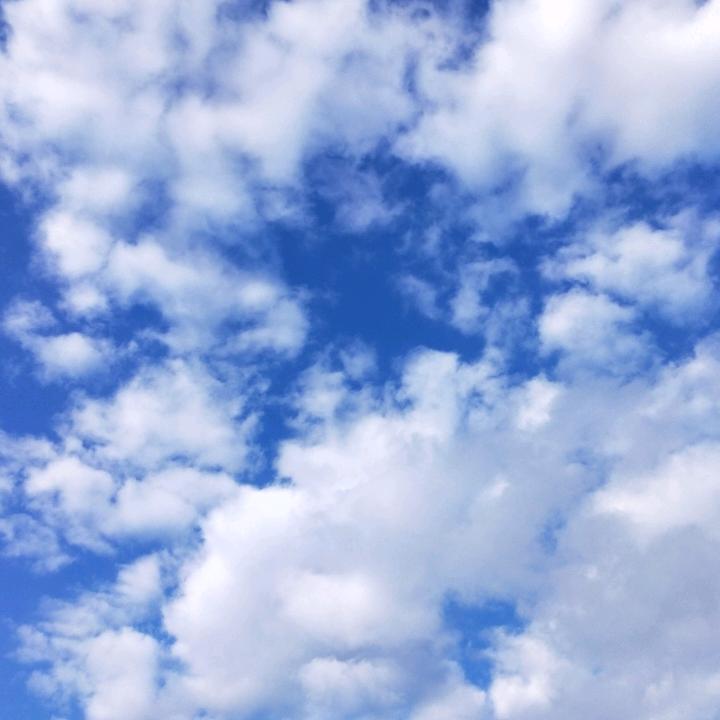有生之年