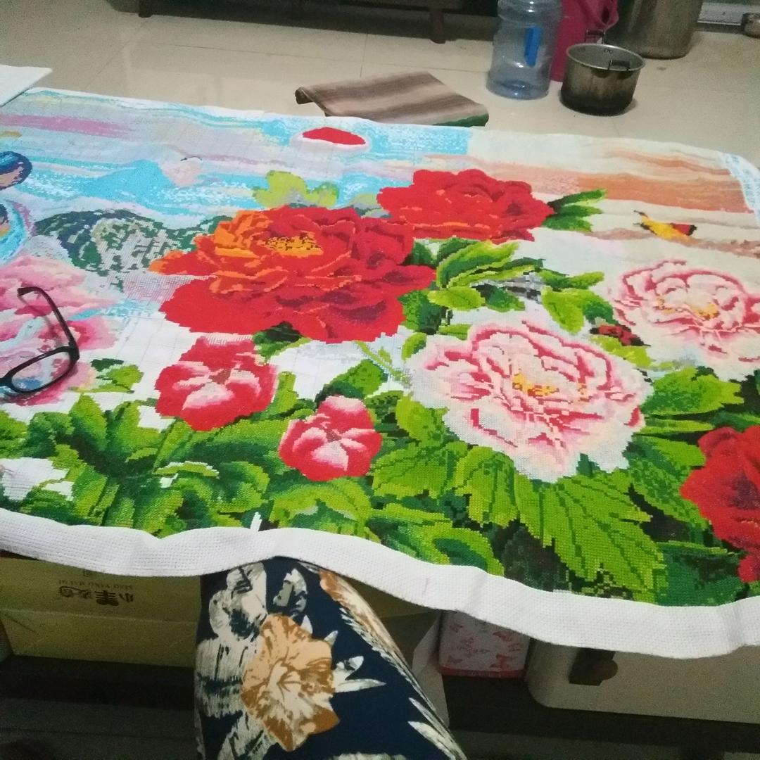 马老师
