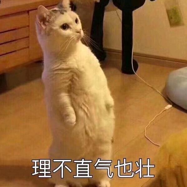 总有刁民想害朕～