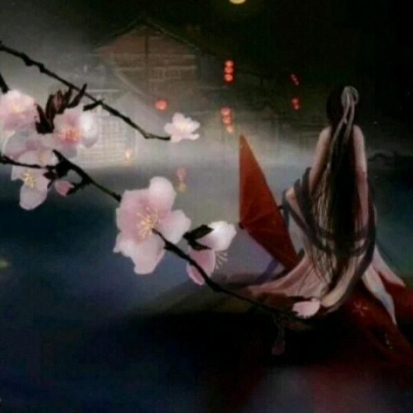 绯雨
