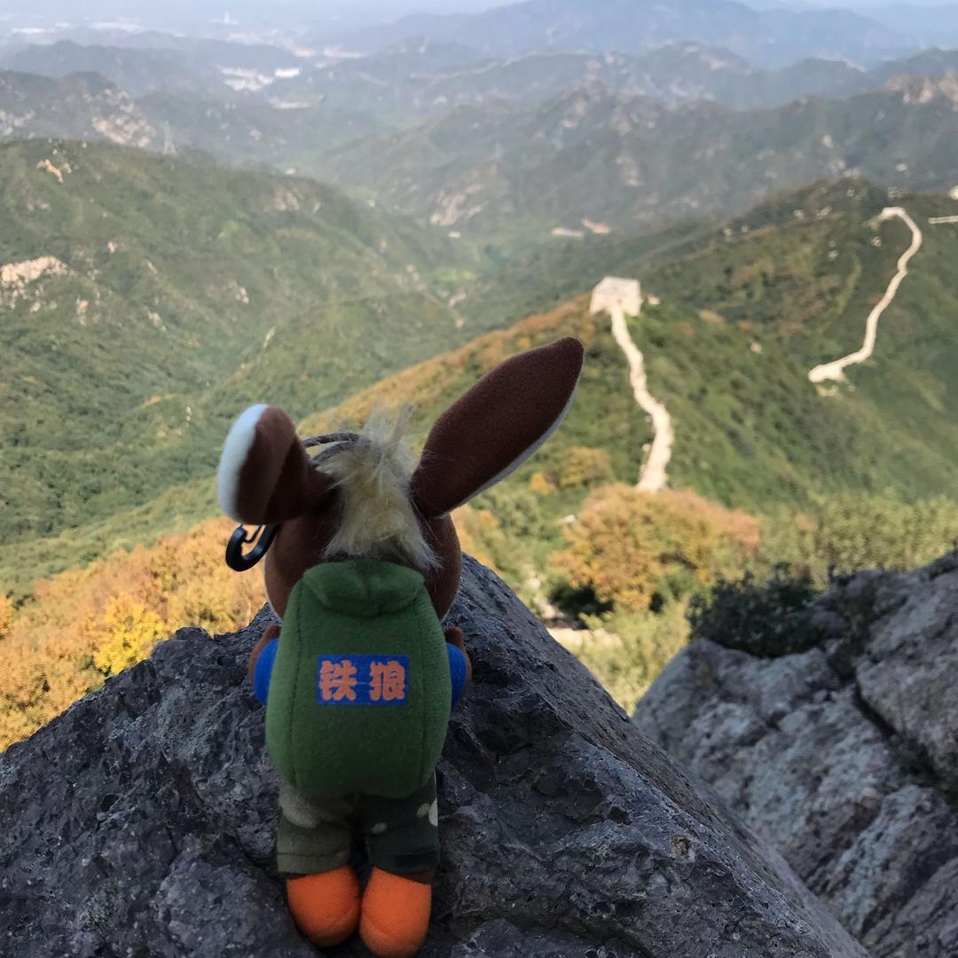 &铁狼&