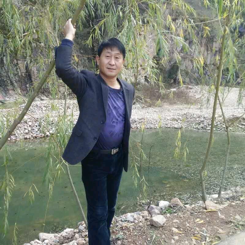 丹凤五哥