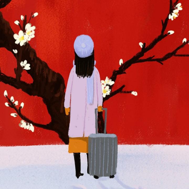 随缘就好