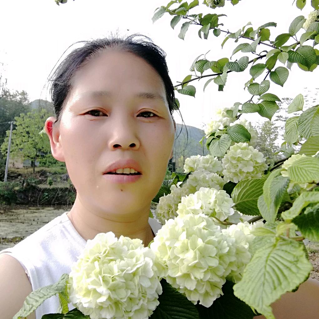 杨大姐