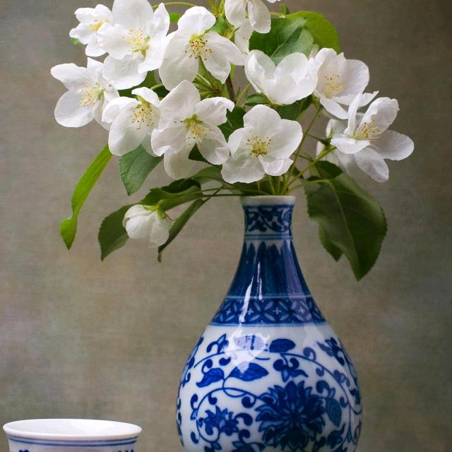 崇明岛岛主是也