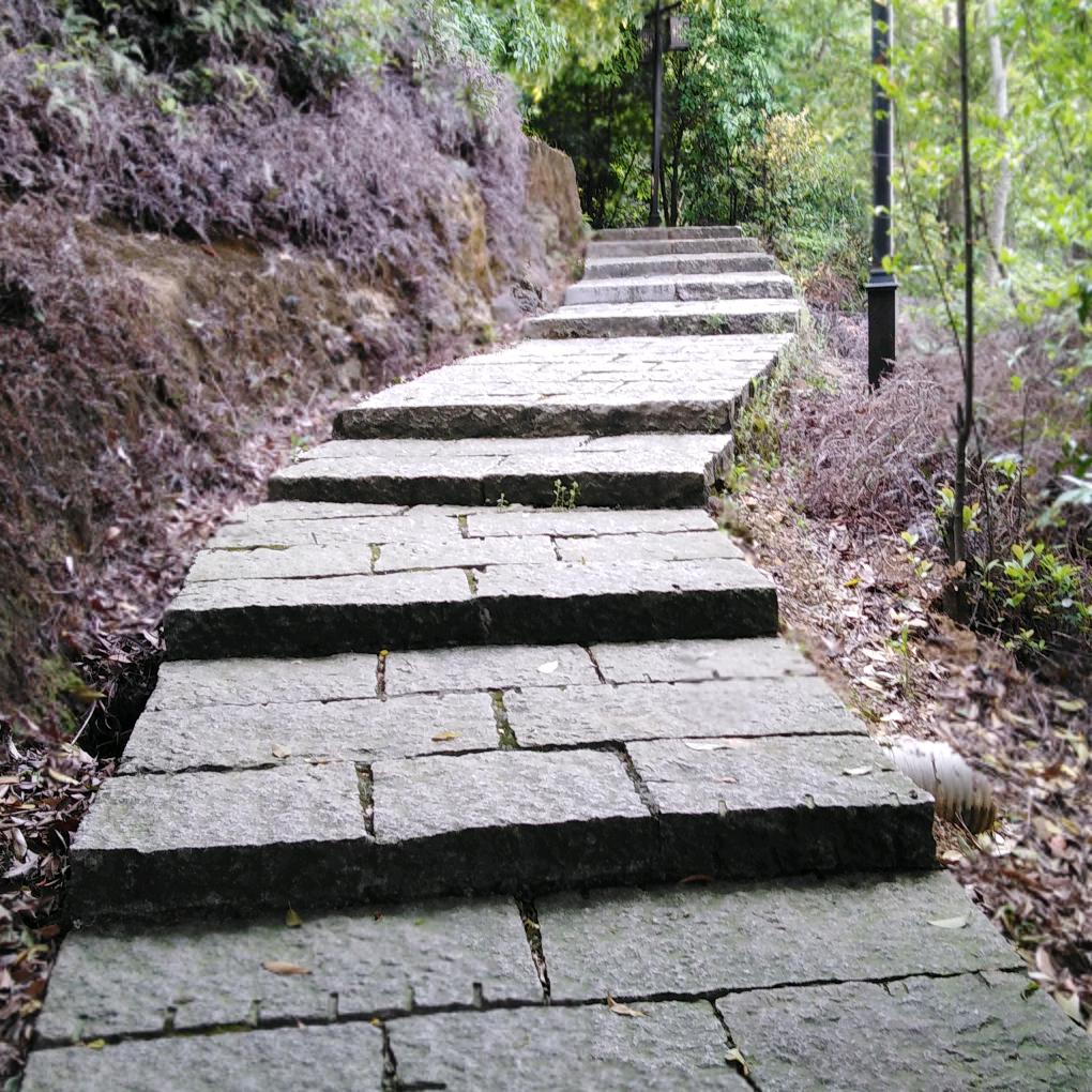路