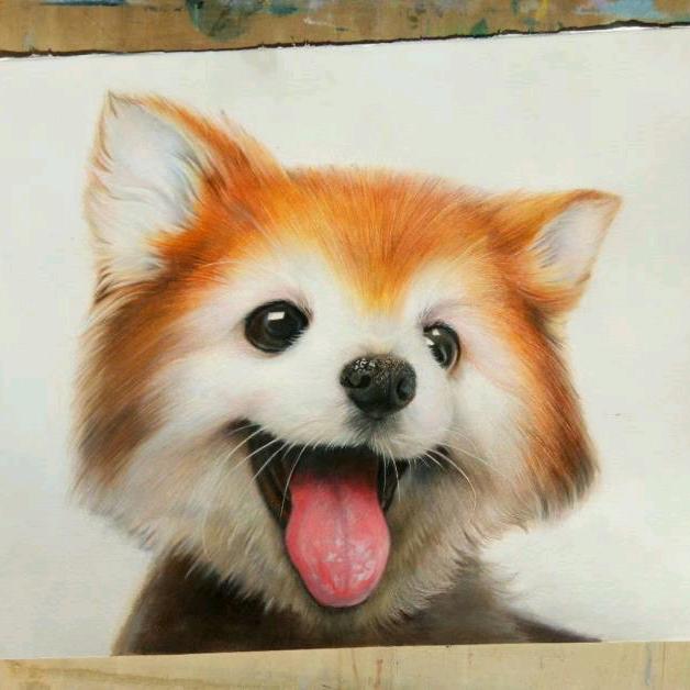 ꧁꫞꯭家有斯坦福꫞꧂