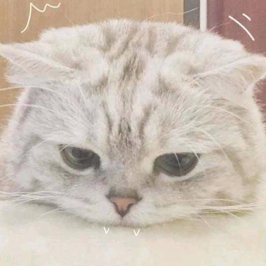 🌈柠檬味的夏天🌈