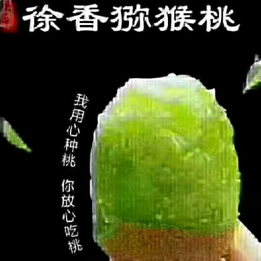 眉县杨家猕猴桃