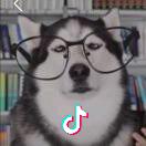 哈喆