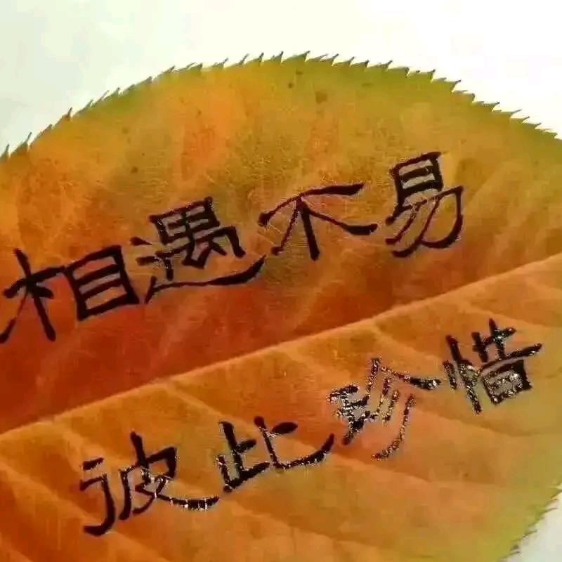 方与圆